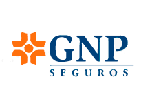 gnp