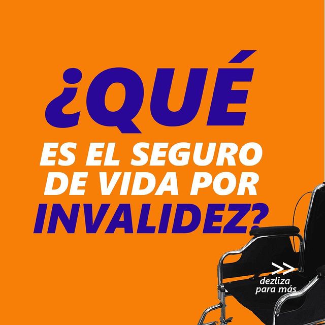 SeguroInvalidez1