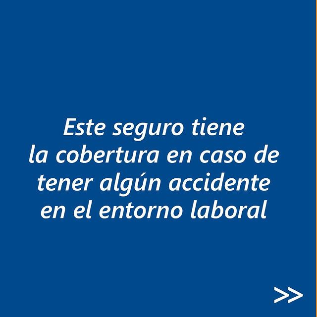 SeguroInvalidez3