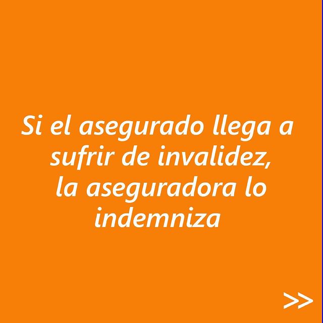 SeguroInvalidez4