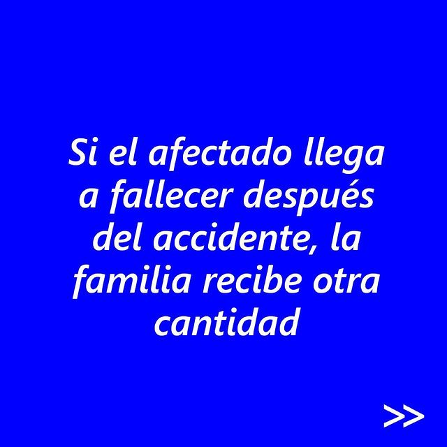 SeguroInvalidez5